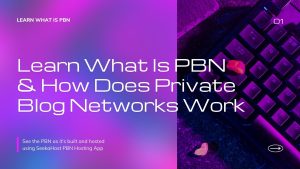 What Is a PBN (Private Blog Network)? Complete Beginner-to-Advanced Guide